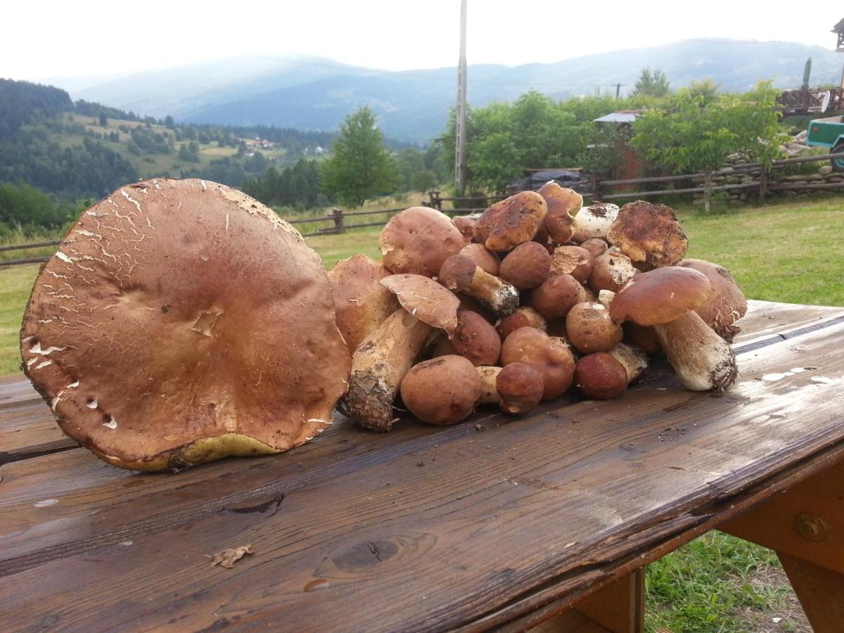 Babia Chata 扎沃亚 外观 照片