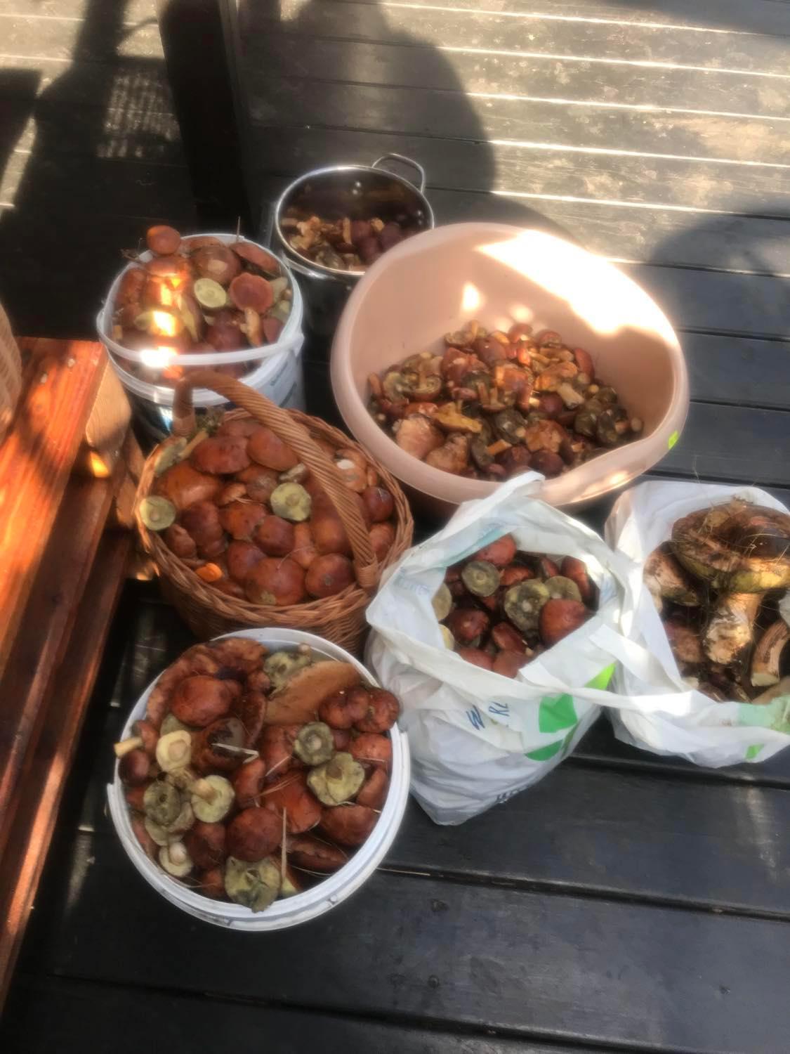 Babia Chata 扎沃亚 外观 照片